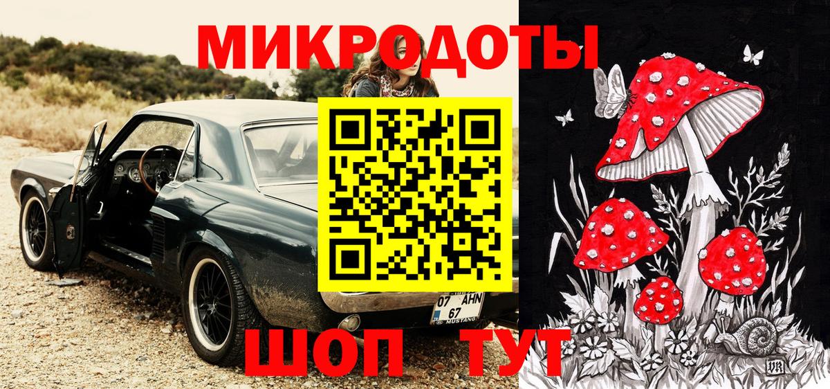 Вичуга  Псилоцибиновые грибы Psilocybine cubensis  Галлюциногенные грибы мицелий  Вход с VPN 